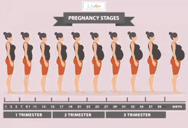 First Trimester (Weeks 1–12): Early Changes You Might Not Notice Camberley